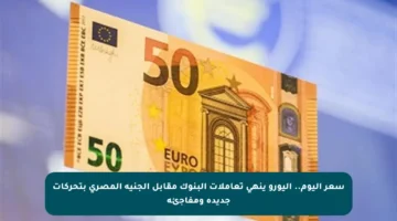 سعر اليوم.. اليورو ينهي تعاملات البنوك مقابل الجنيه المصري بتحركات جديدة ومفاجئة